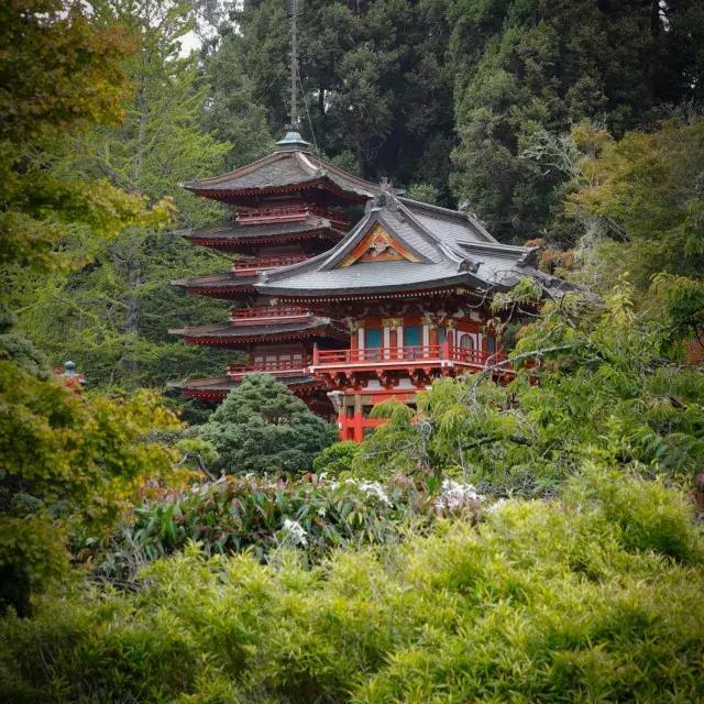 Japanischer Teegarten