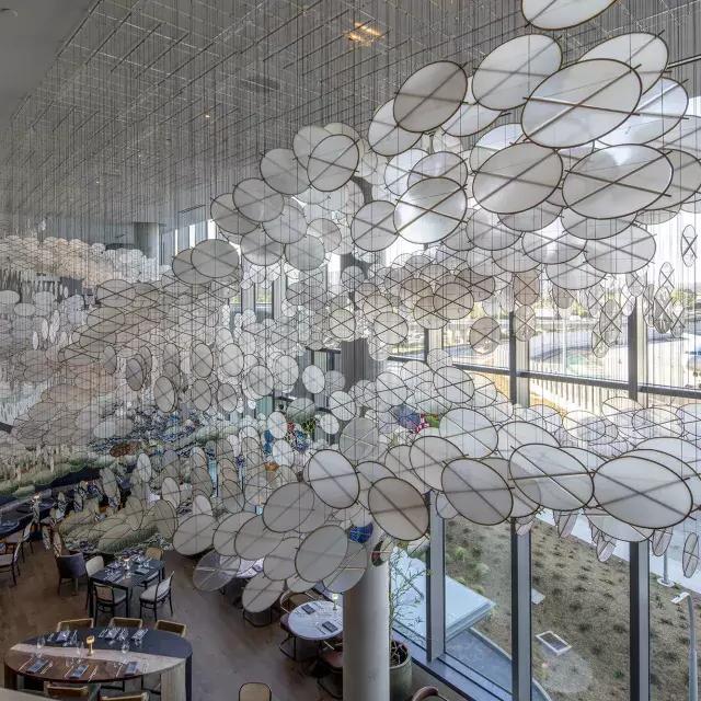 雅各布·桥本(Jacob Hashimoto)在君悦酒店(君悦酒店)